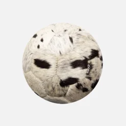 COPA Cow Voetbal