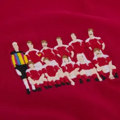 Denemarken 1992 European Champions embroidery T-Shirt