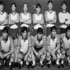 Japan 1987 - 88 Retro Voetbalshirt