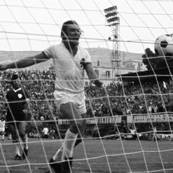Panathinaikos FC 1974 - 75 Retro Voetbalshirt