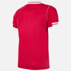 SL Benfica 1992 - 93 Retro Voetbalshirt