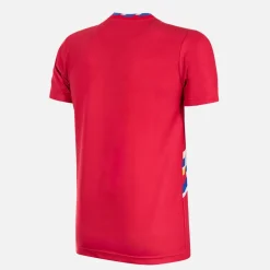 South Korea 1994 Retro Voetbalshirt